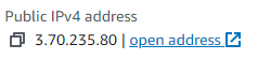 Open IP Address link