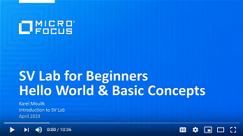 SV Lab Introduction for beginners