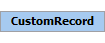 CustomRecord Element (Required, 1 element allowed)
