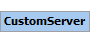 CustomServer Element (Required, 1 element allowed)