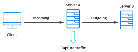 Capture traffic diagram